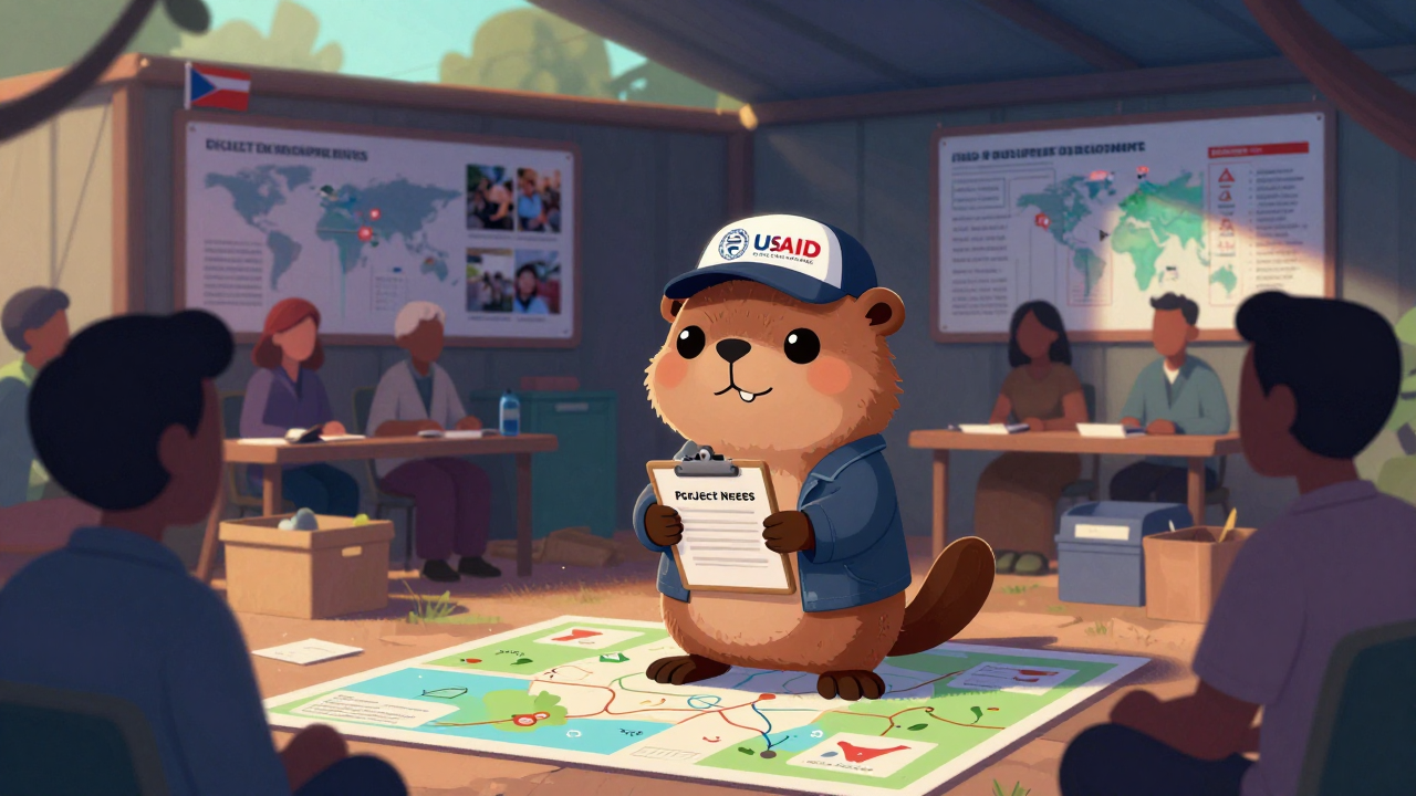 국제개발협력전문가